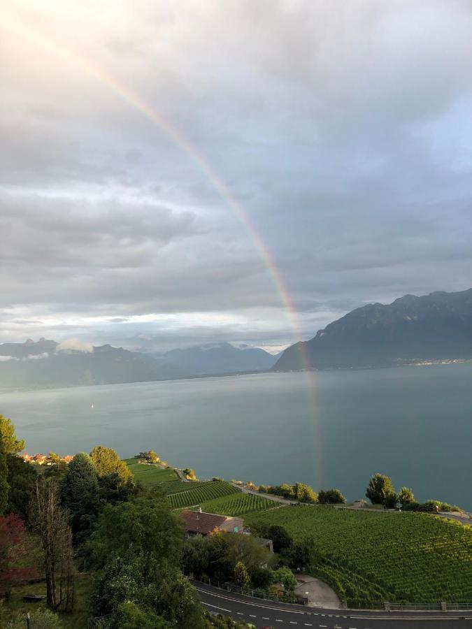 Room With 360° View Overlooking Lake Geneva And Alps Puidoux Ngoại thất bức ảnh