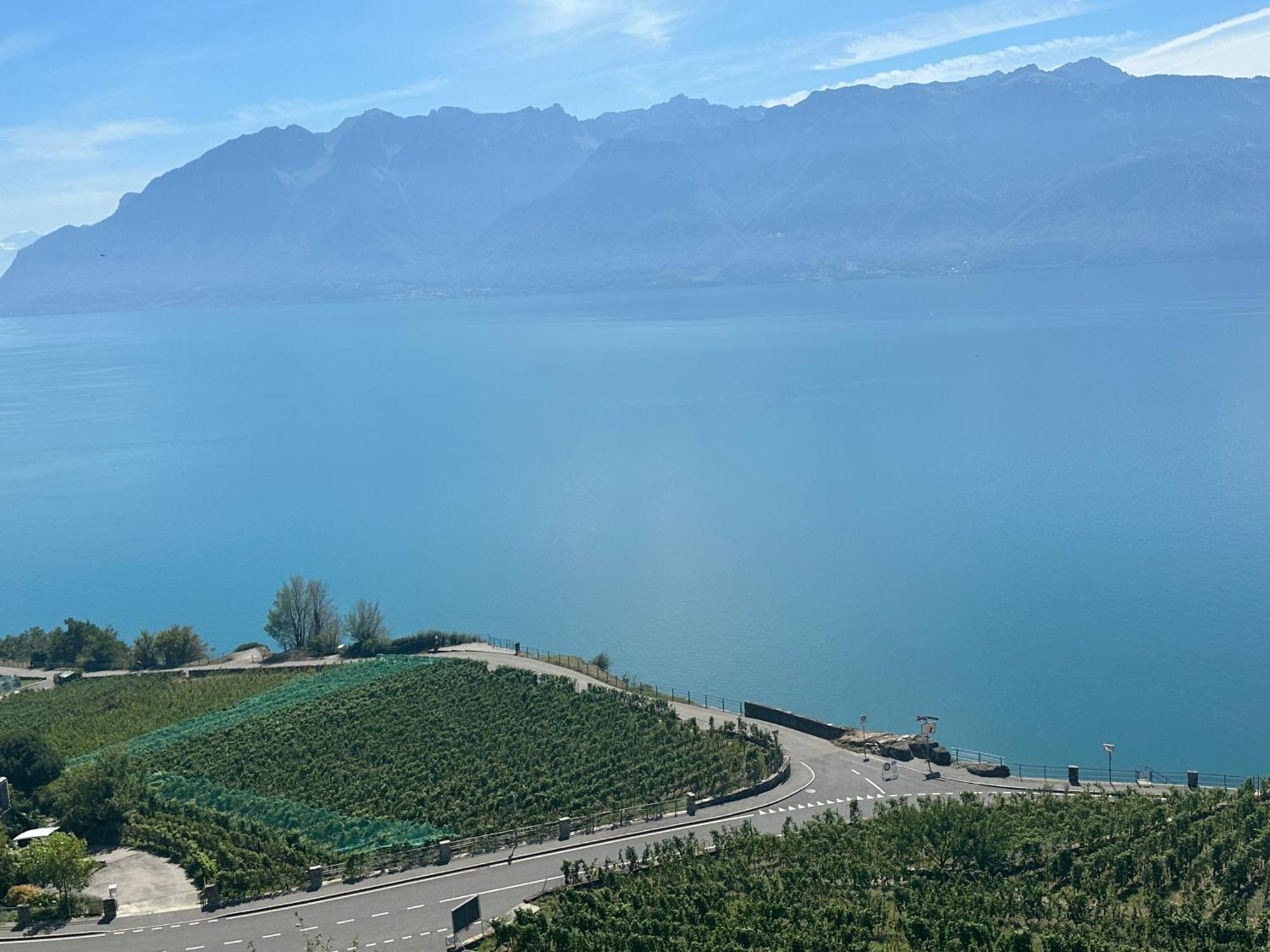 Room With 360° View Overlooking Lake Geneva And Alps Puidoux Ngoại thất bức ảnh